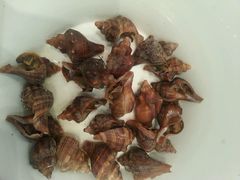 -宁波石浦豪生大酒店·自助餐厅