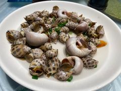 -金海湾海鲜排档(朱家尖店)