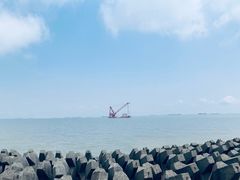 -上海滨江森林公园