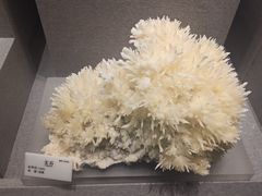-贵州省地质博物馆