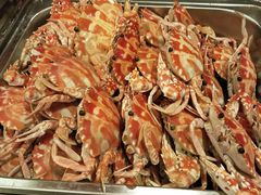 -晋江荣誉国际酒店·港誉茶餐厅