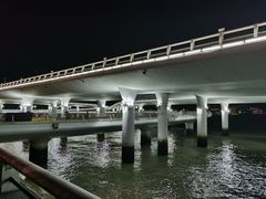 -演武大桥观景平台