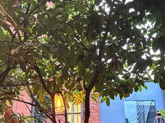 -Ocean's Table 欧舍