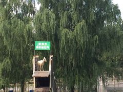 -北京鹿世界主题园