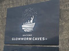 -怀托摩萤火虫洞