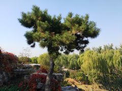 -燕郊植物园