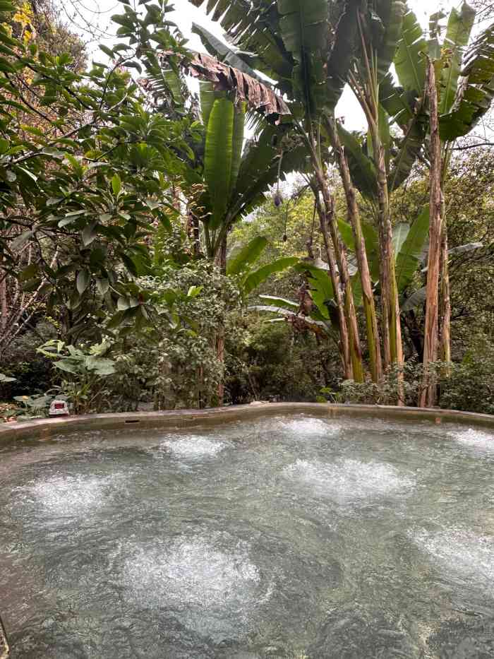 重庆柏联温泉-"国庆带着家人一起泡温泉,绝对值了!北温泉.