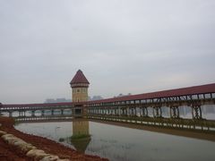-九龙湖公园