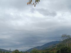 -海南霸王岭国家森林公园