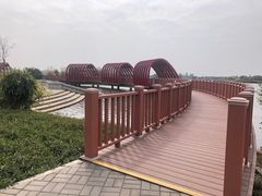 -芒洲湿地公园