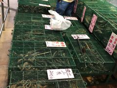 -荔城生鲜盛宴(番禺旗舰店)