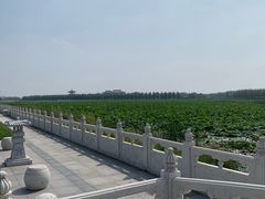 -呼兰河口湿地公园