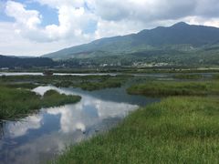 -腾冲北海湿地