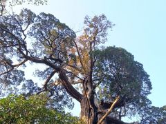 -青岛崂山太清宫