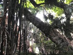-龙达温泉生态城