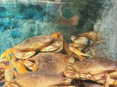 -小贝壳酒楼(经九路店)