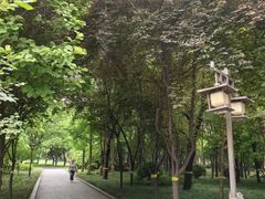 -木塔寺遗址生态公园