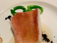 -8餐厅(新葡京酒店)