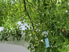 -Beans Solo豆号咖啡(百家湖花园店)