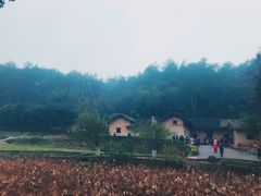 -韶山毛泽东同志故居