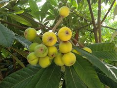 -陕西华浮宫酒店(未央湖公园店)