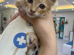 -达爱动物医院·犬猫分区·CT·复杂眼科(远洋山水分院)