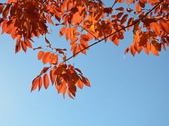 -北京西山国家森林公园