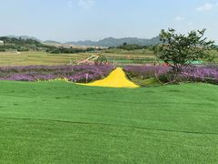 -光明小镇欢乐田园