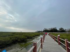 -北海金海湾红树林生态旅游区