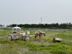 -天津妈祖文化园