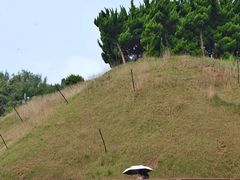-燕儿岛山公园