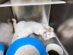 -宠颐生宠物医院·骨外科·犬猫全科诊疗中心(池州店)