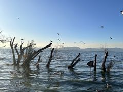 -捞渔河湿地公园