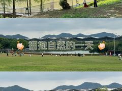 -紫马岭公园