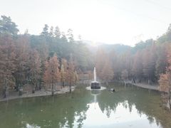 -广州市帽峰山景区