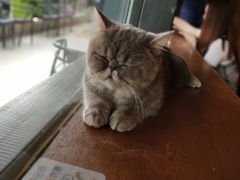 -万达广场(东莞厚街店)