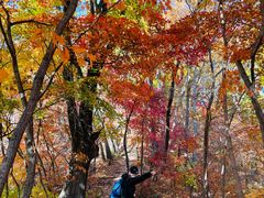 -天女山森林公园