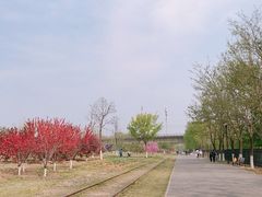 -永定河休闲森林公园