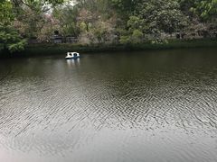-潮州西湖