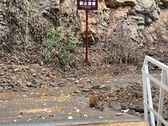 -狮子关旅游区