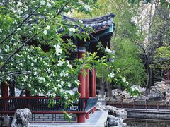 -宣武艺园