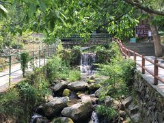 -藏龙百瀑风景区