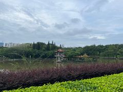 -深圳龙潭公园