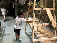 -zoonana室内动物园(东方福来德店)