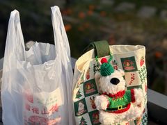 -阿男野栗王(金门路店)