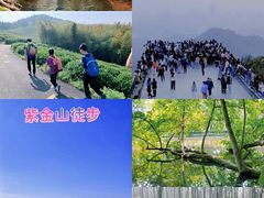 -紫金山天文台