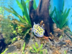 -常州海昌海洋探索馆