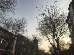 -天津五大道文化旅游区