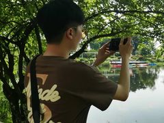 -铁山坪森林公园