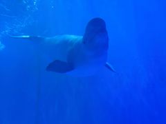 -多彩贵州城极地海洋世界